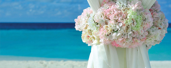 Why You Should Consider an All-Inclusive Wedding