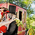 spooky wedding ceremony ideas for the halloween season couple photo session