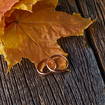 Two wedding rings on a wooden table for a destination wedding.