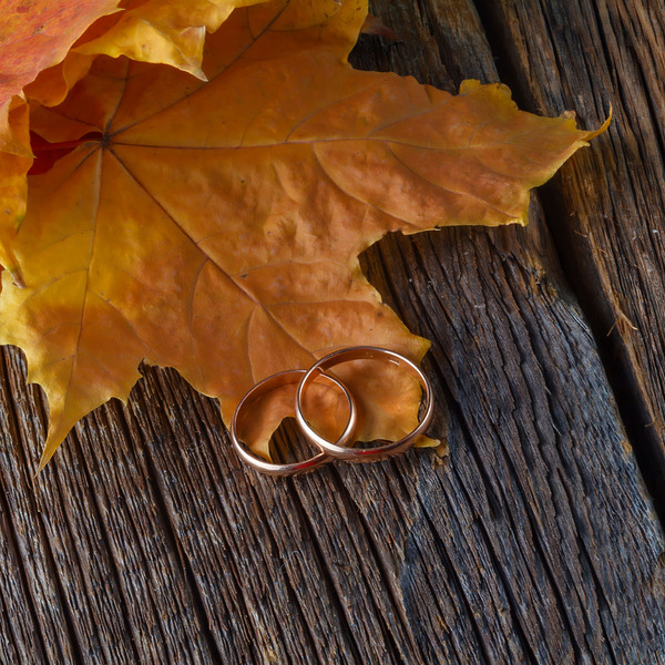 The Ultimate 2025 Fall Weddings Guide