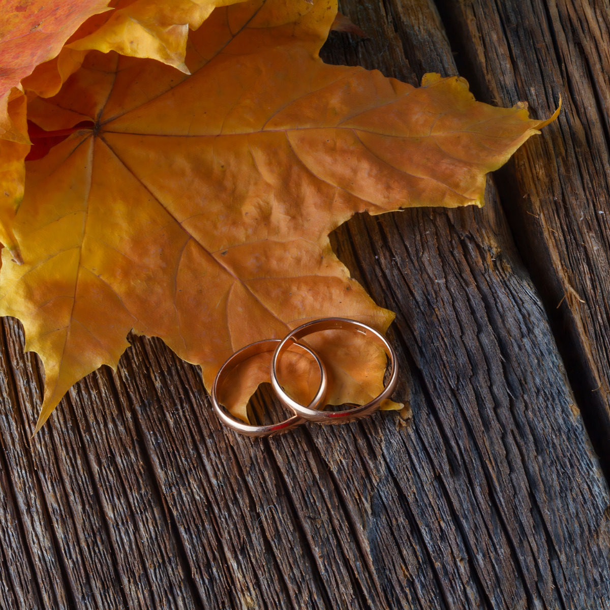 Two wedding rings on a wooden table for a destination wedding.