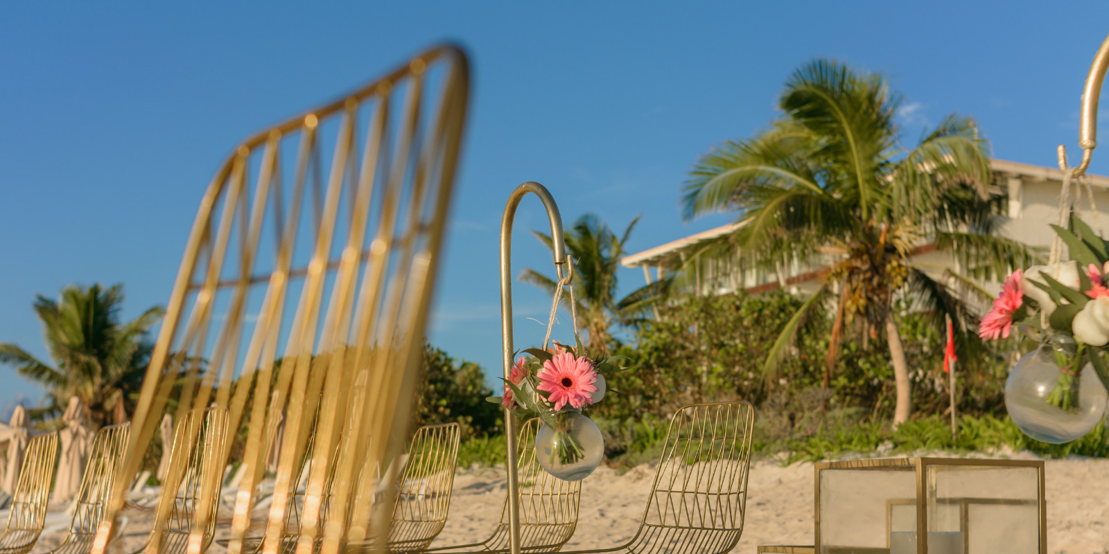 The UNICO 20°87° chairs are lined up on the beach for a wedding in front of palm trees.