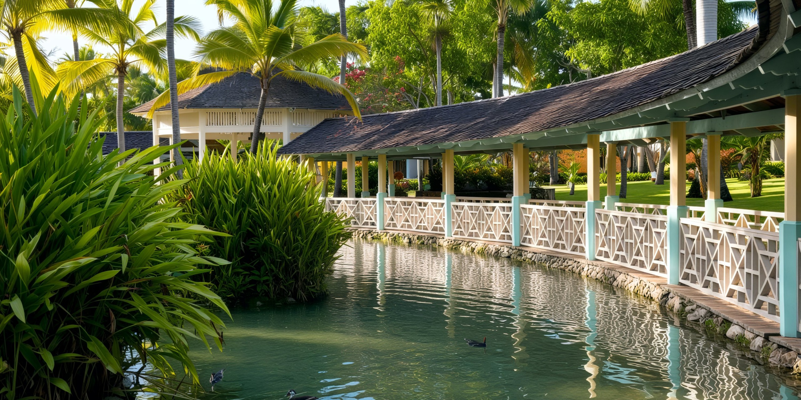 A picturesque pathway and pond, home to ducks, are surrounded by lush greenery and elegant palm trees, creating an idyllic setting for a destination wedding.