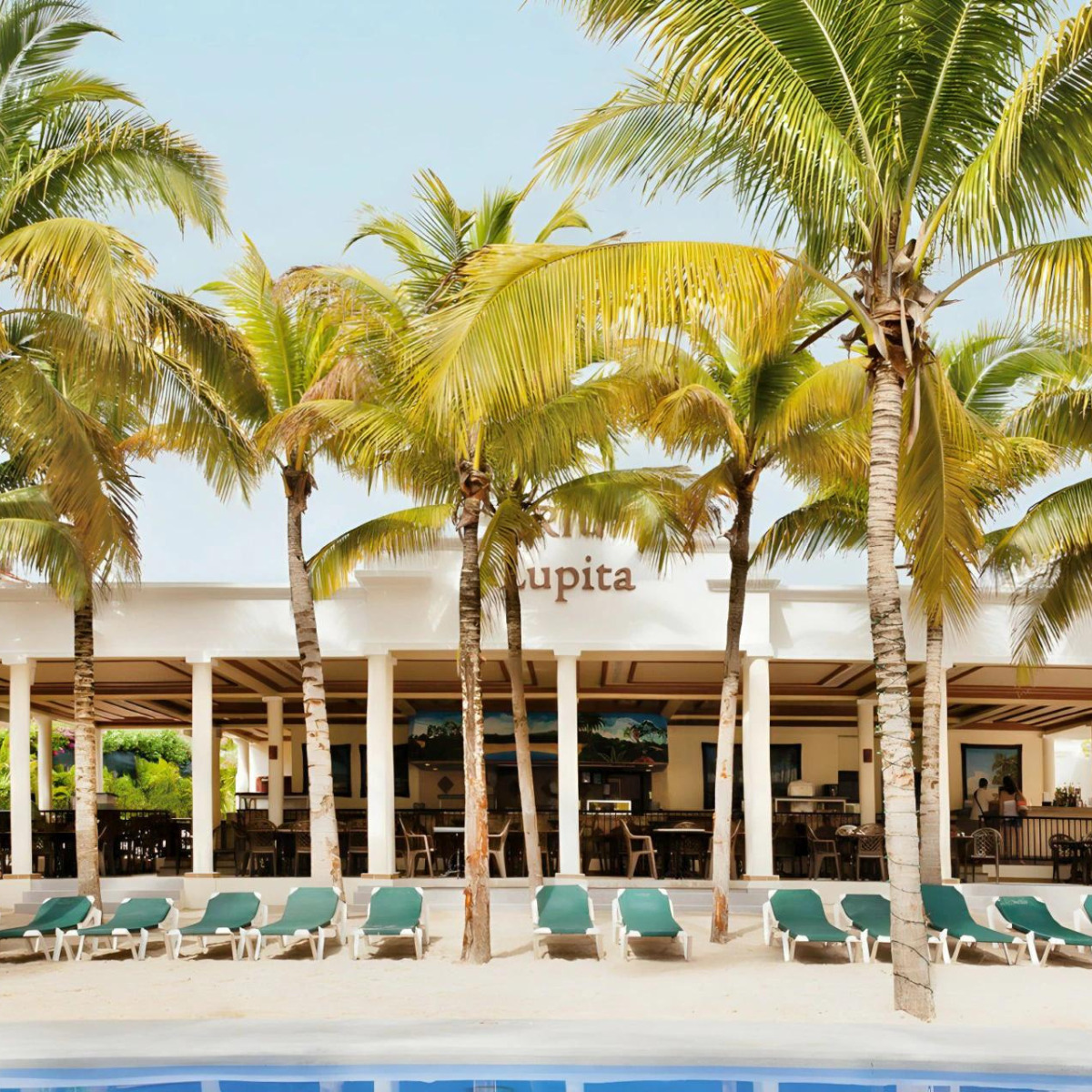 Poolside view of Hotel Riu Lupita, a tropical destination wedding resort restaurant with rows of palm trees and lounge chairs under clear skies.