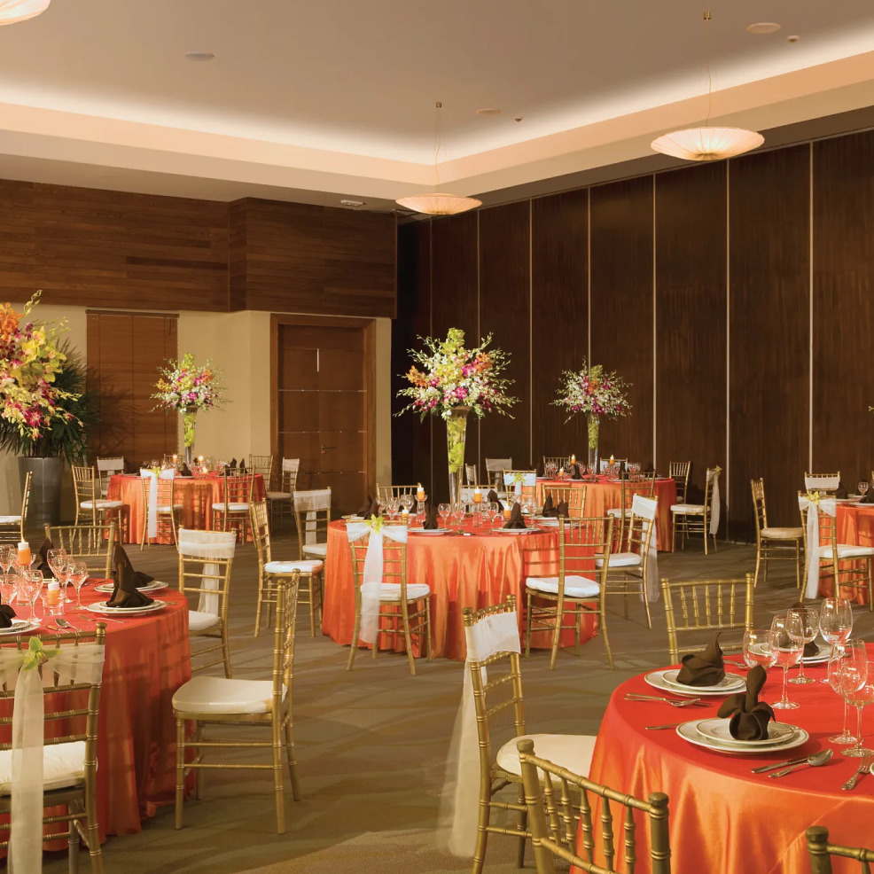 Secrets Wild Orchid