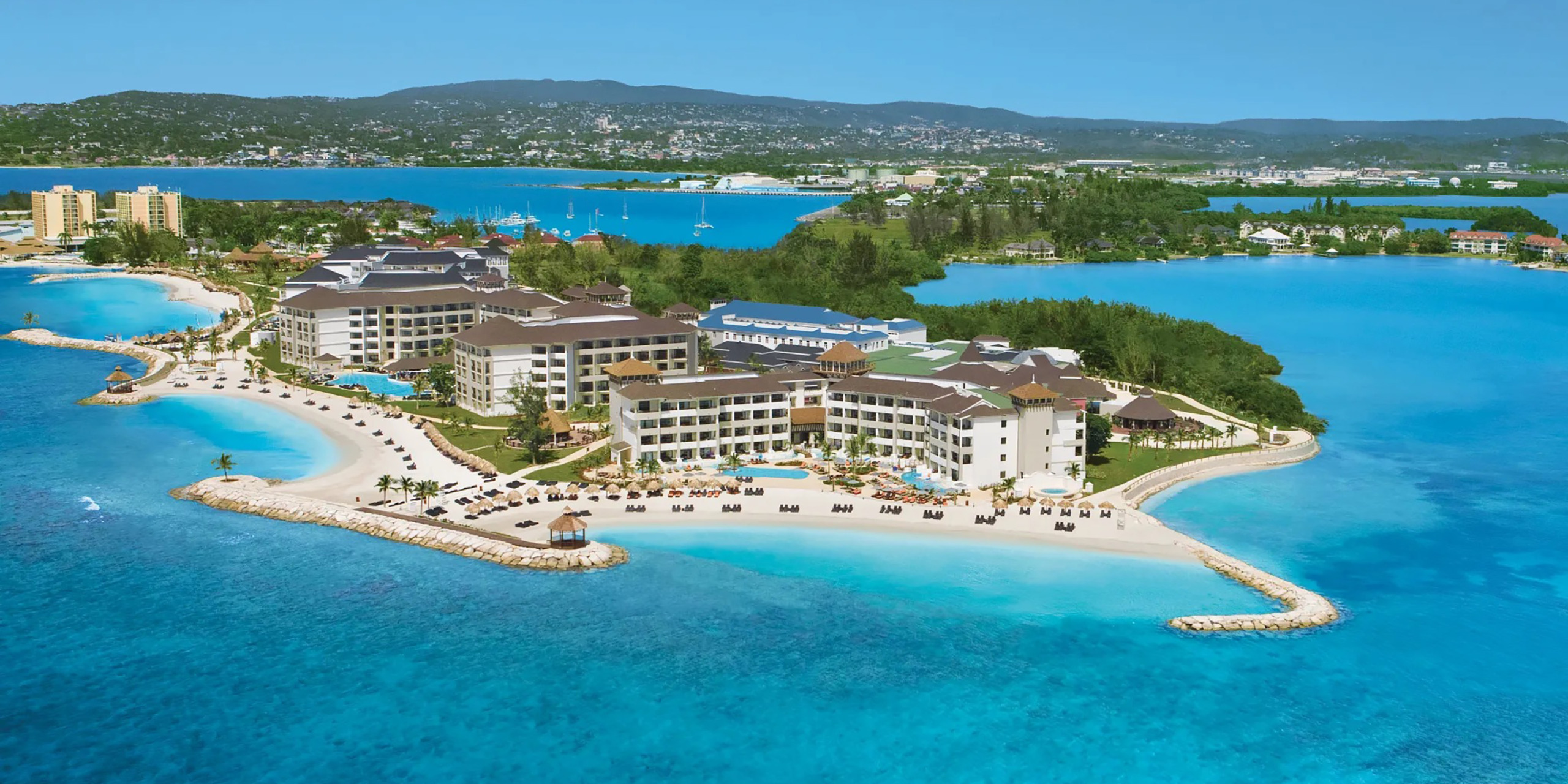 Secrets Wild Orchid