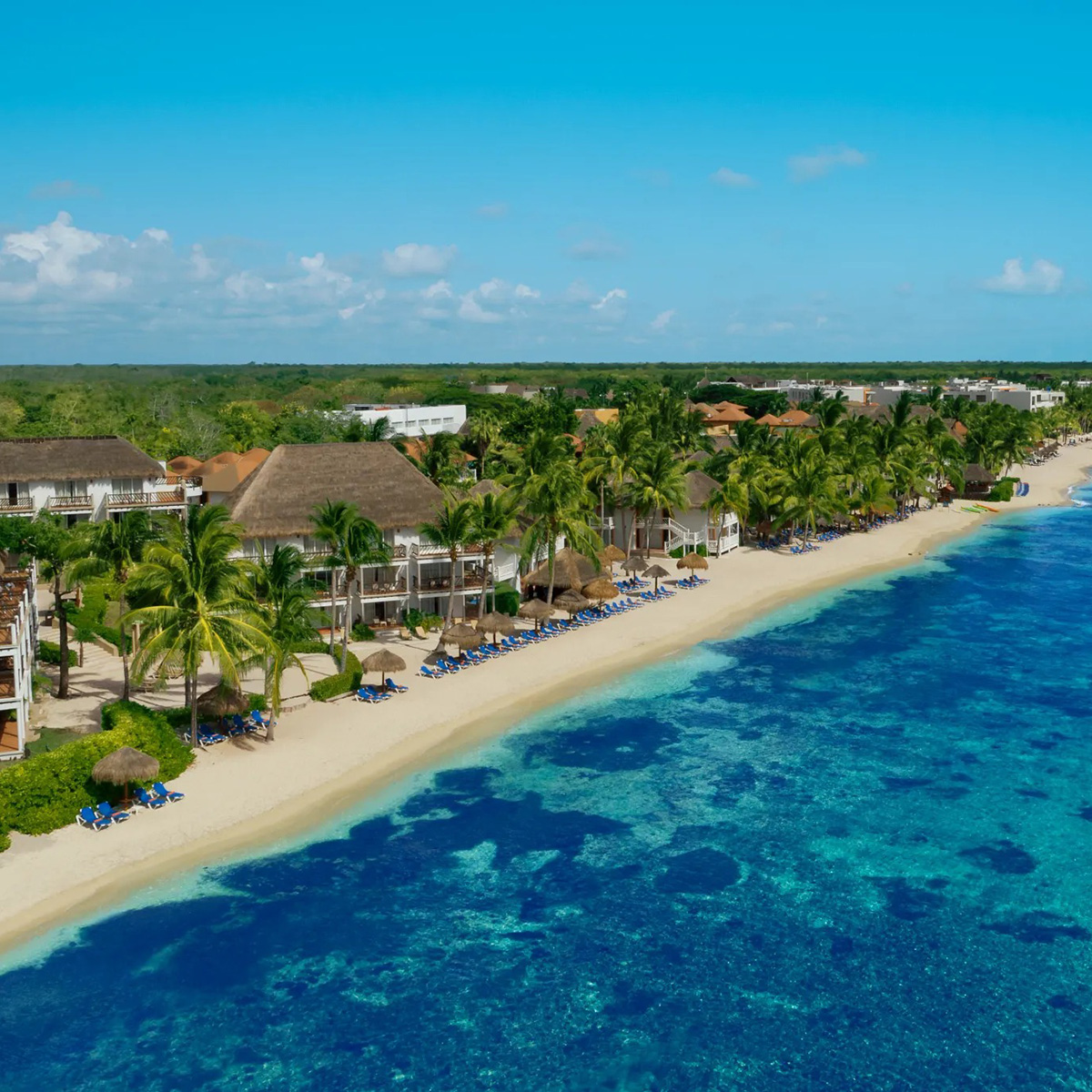 Sunscape Sabor Cozumel