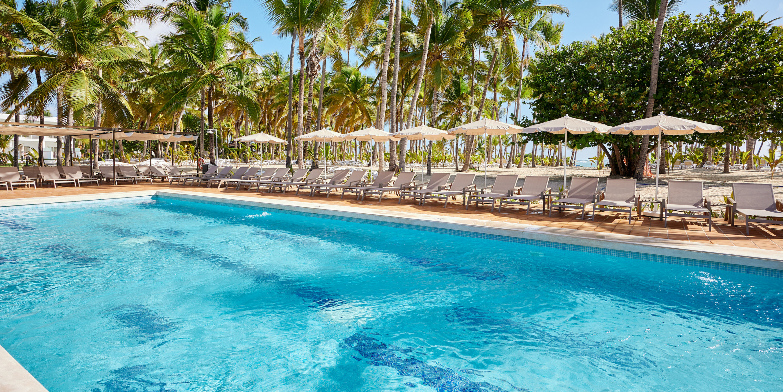 Hotel Riu Palace Macao surrounded by lounge chairs and palm trees.