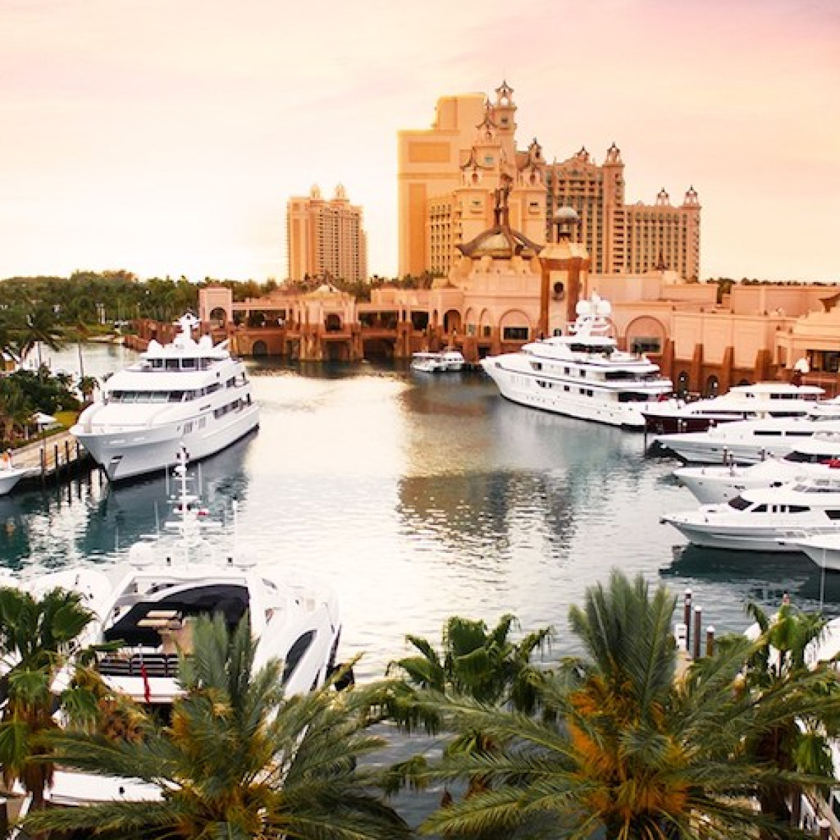 The Coral at Atlantis