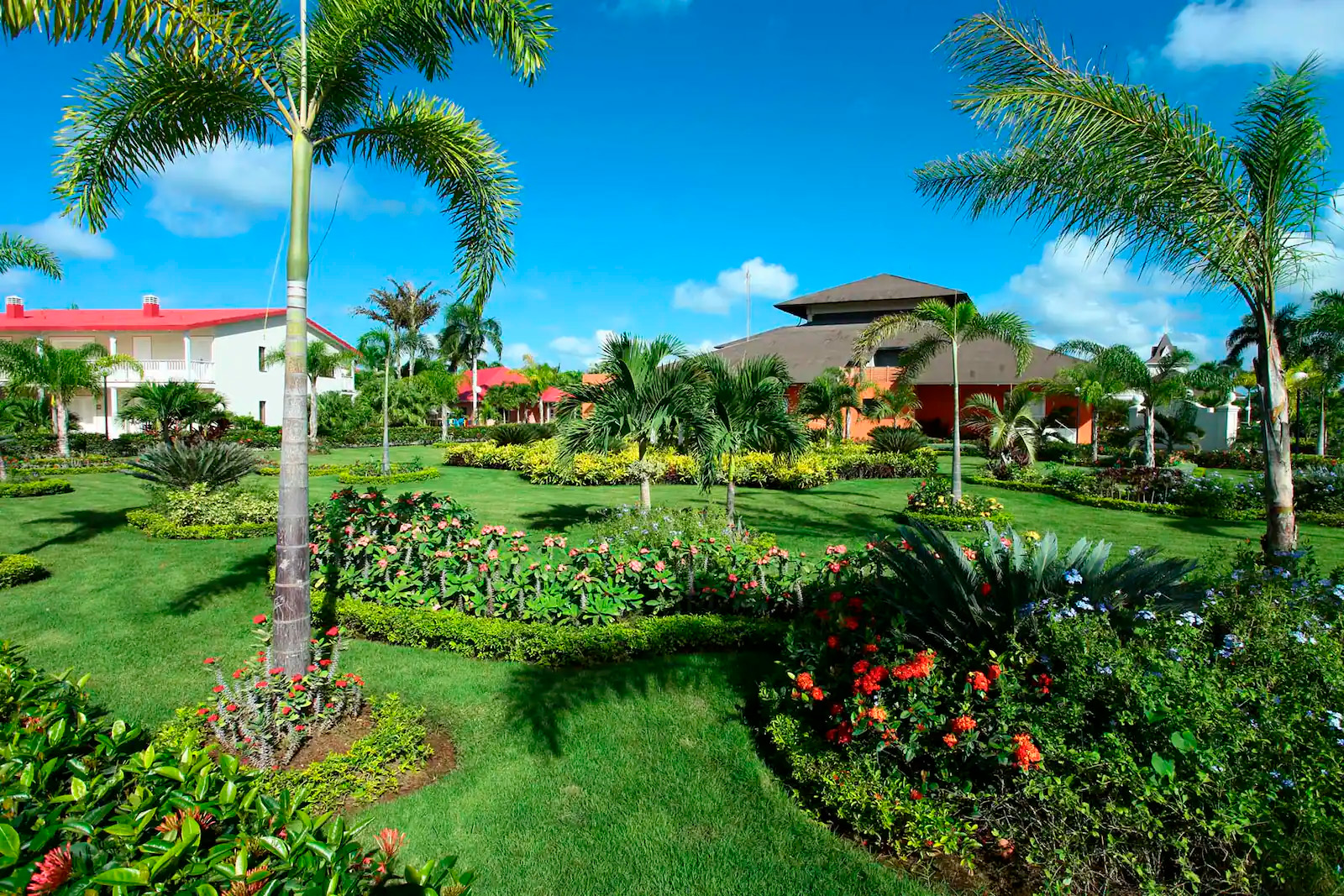 The lush garden at Bahia Principe Luxury Bouganville, adorned with palms and vibrant flowers under a clear blue sky, provides the perfect backdrop for a destination wedding.