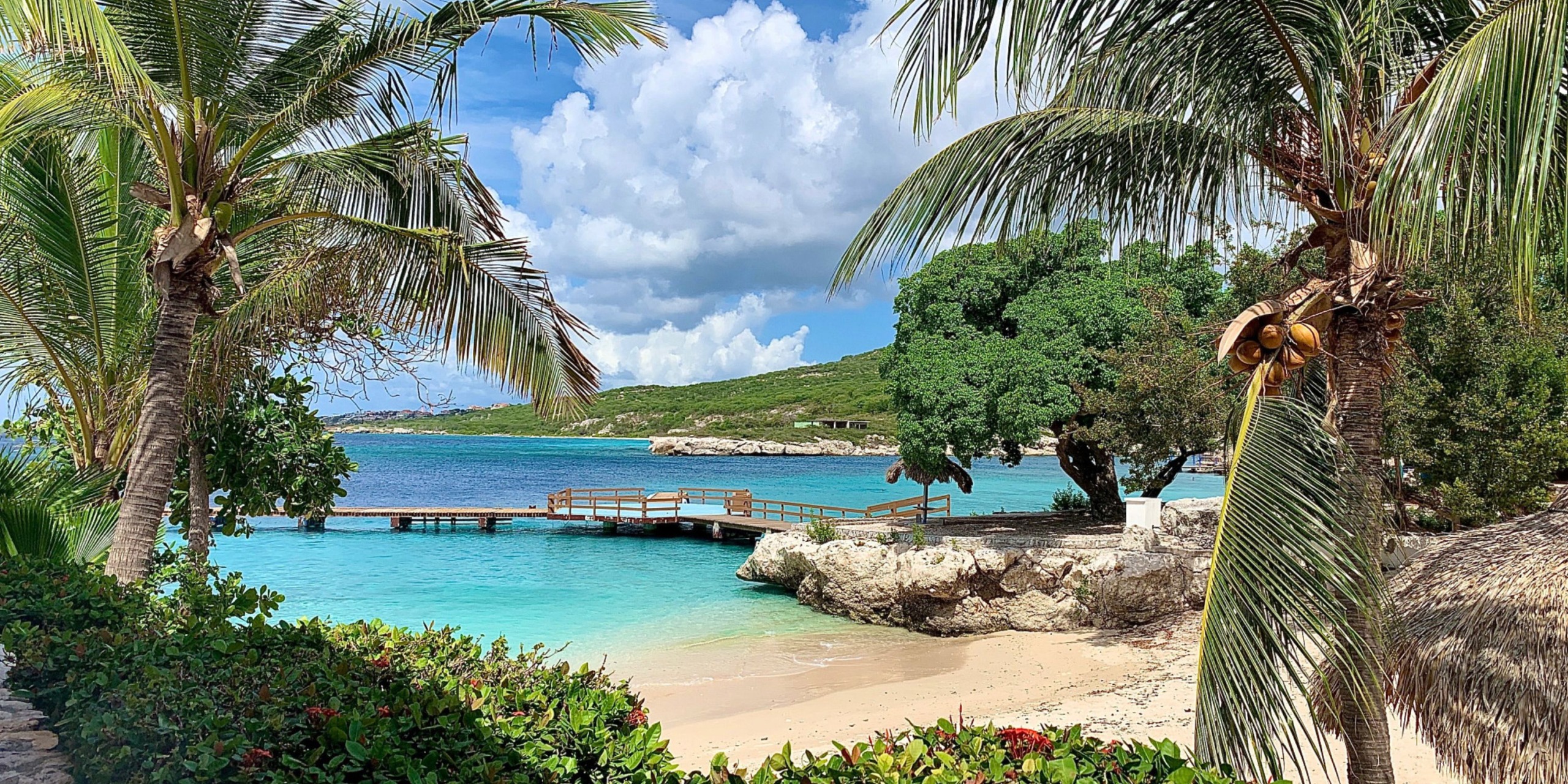 Experience Dreams Curacao, where a wooden pier stretches into turquoise waters, surrounded by palm trees and vibrant greenery beneath a partly cloudy sky.