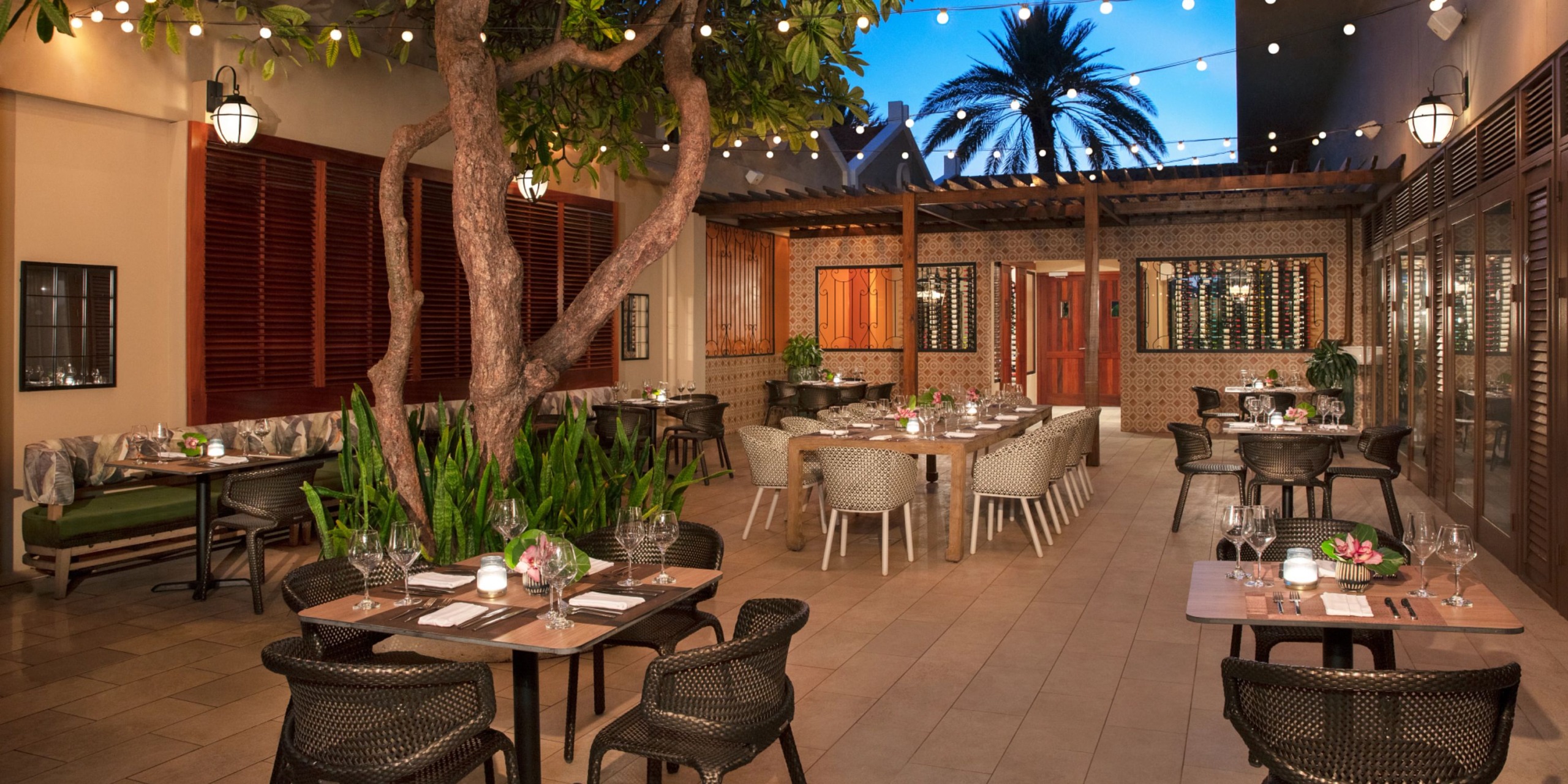 The Dreams Curacao offers an enchanting outdoor restaurant seating area, featuring string lights, tables, and chairs. A tree is elegantly integrated into the space, complemented by surrounding plants and a palm tree in the background.