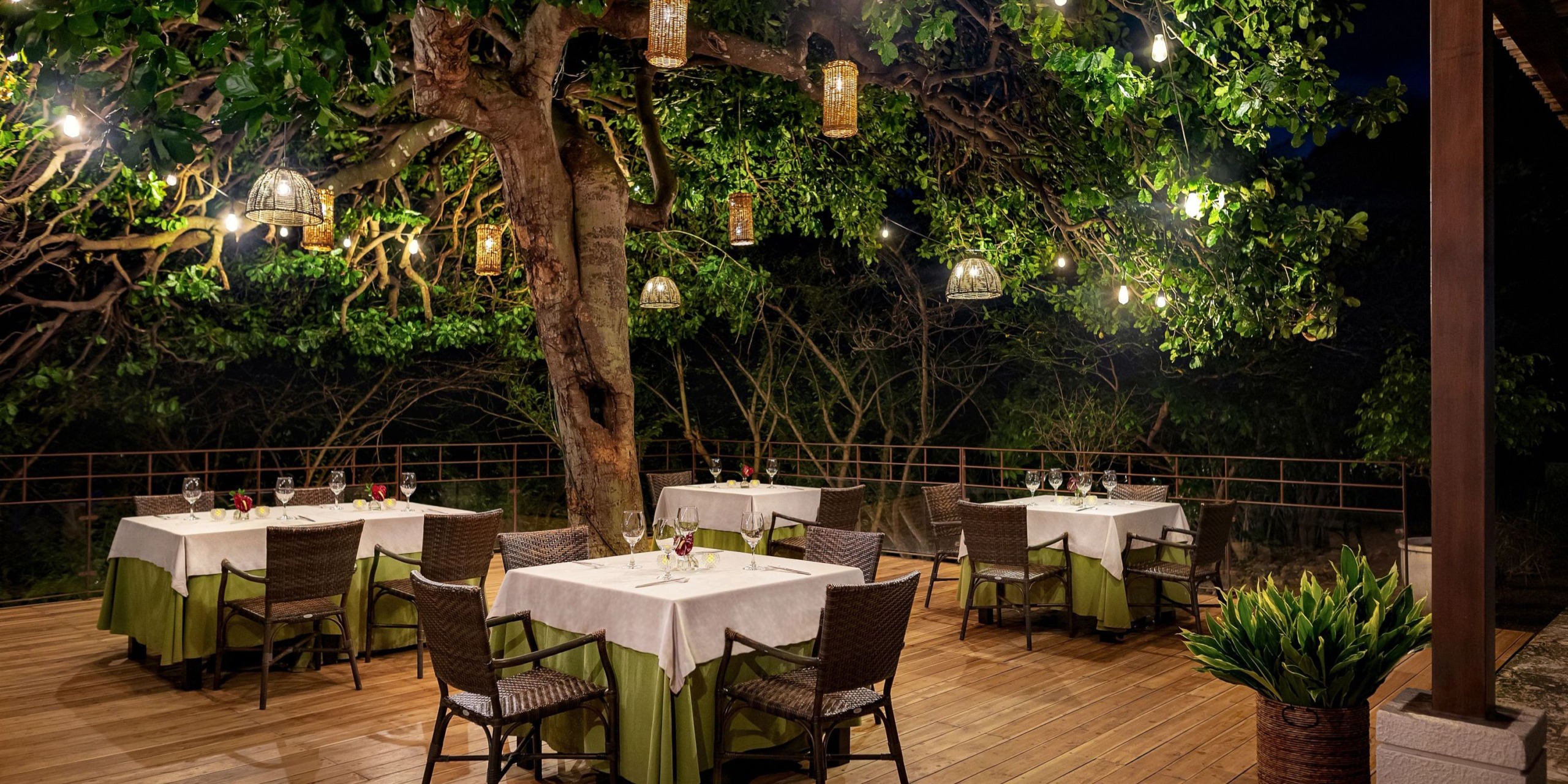 The outdoor dining area at Dreams Las Mareas features tables set beneath a large tree, beautifully illuminated by hanging lanterns.