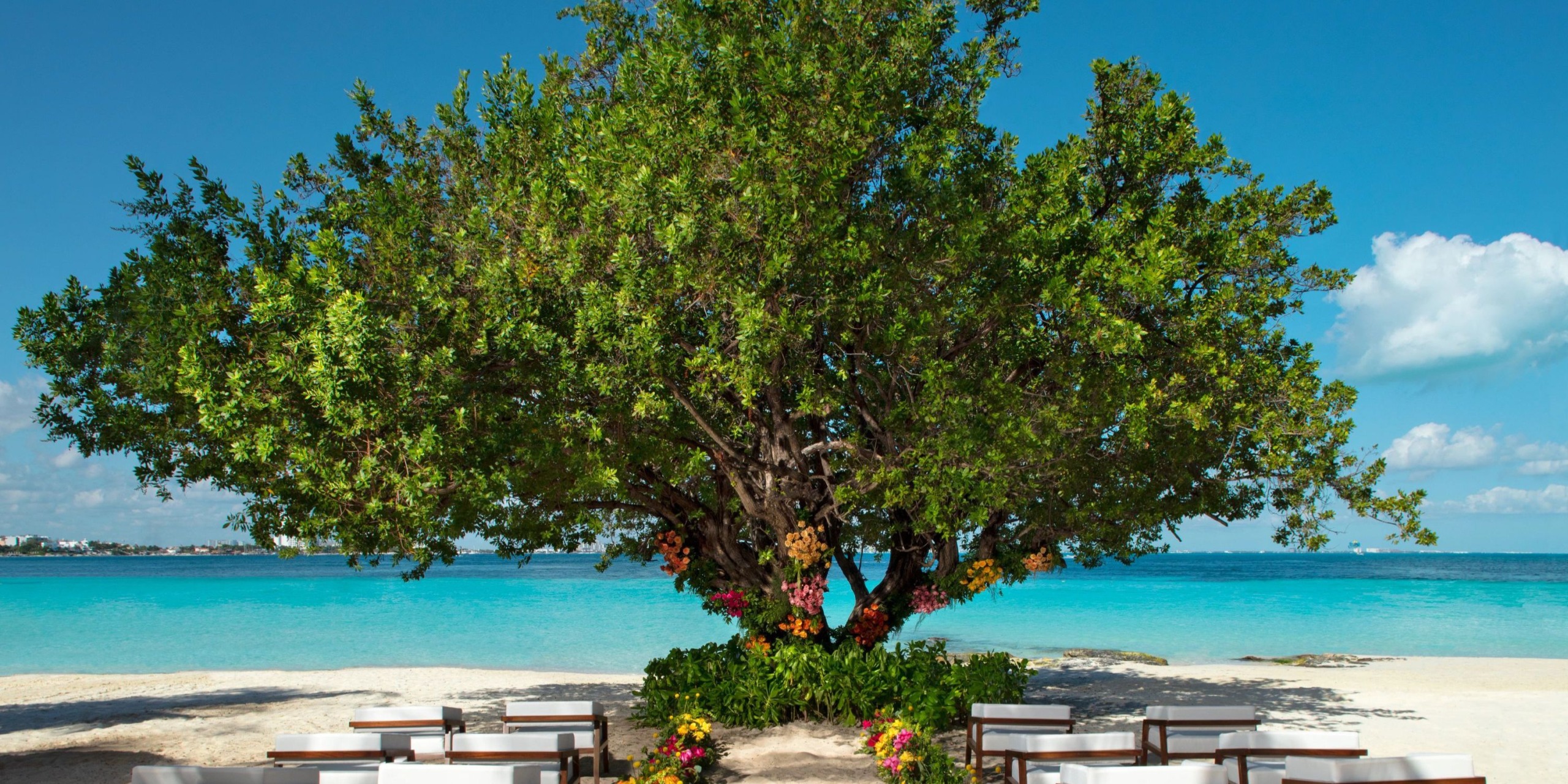 The Dreams Sands Cancun features a large tree with lush green leaves on a sandy beach, set against a backdrop of clear blue sky and turquoise ocean, with white chairs and floral arrangements arranged in the foreground.