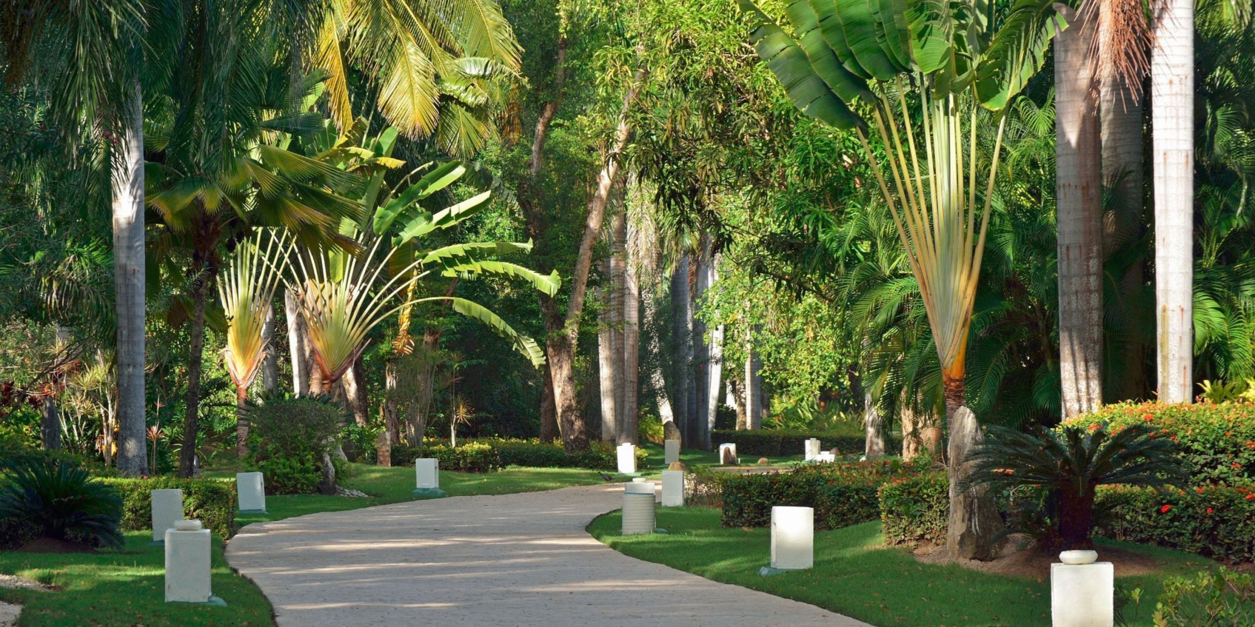 Paradisus Punta Cana