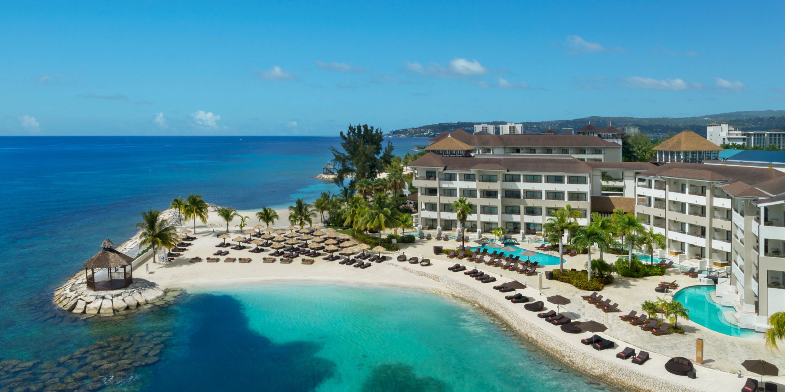Secrets Wild Orchid