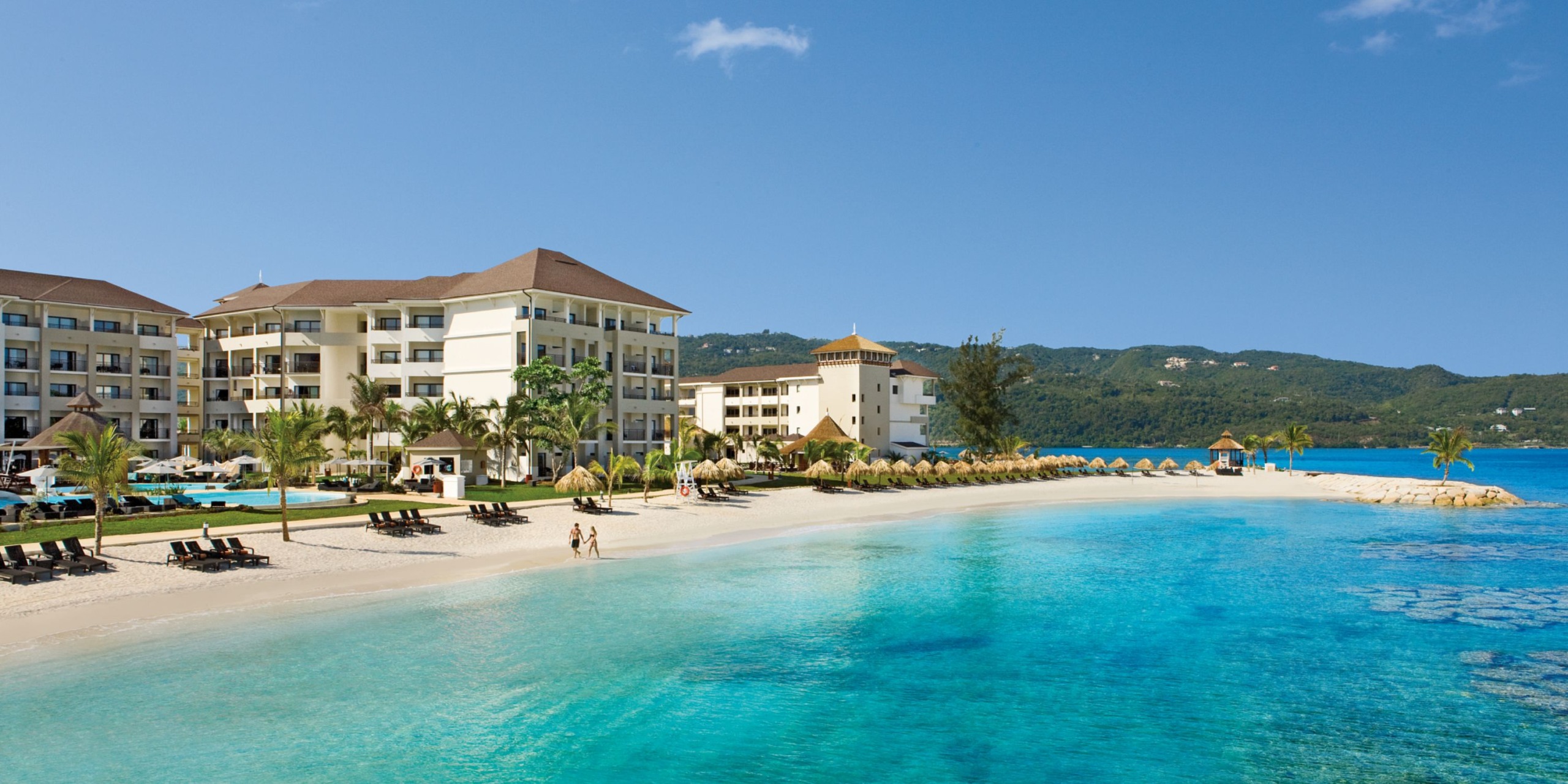 Secrets Wild Orchid
