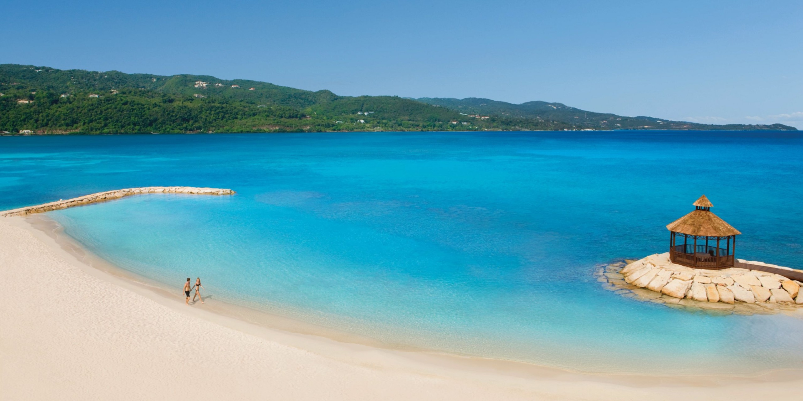 Secrets Wild Orchid