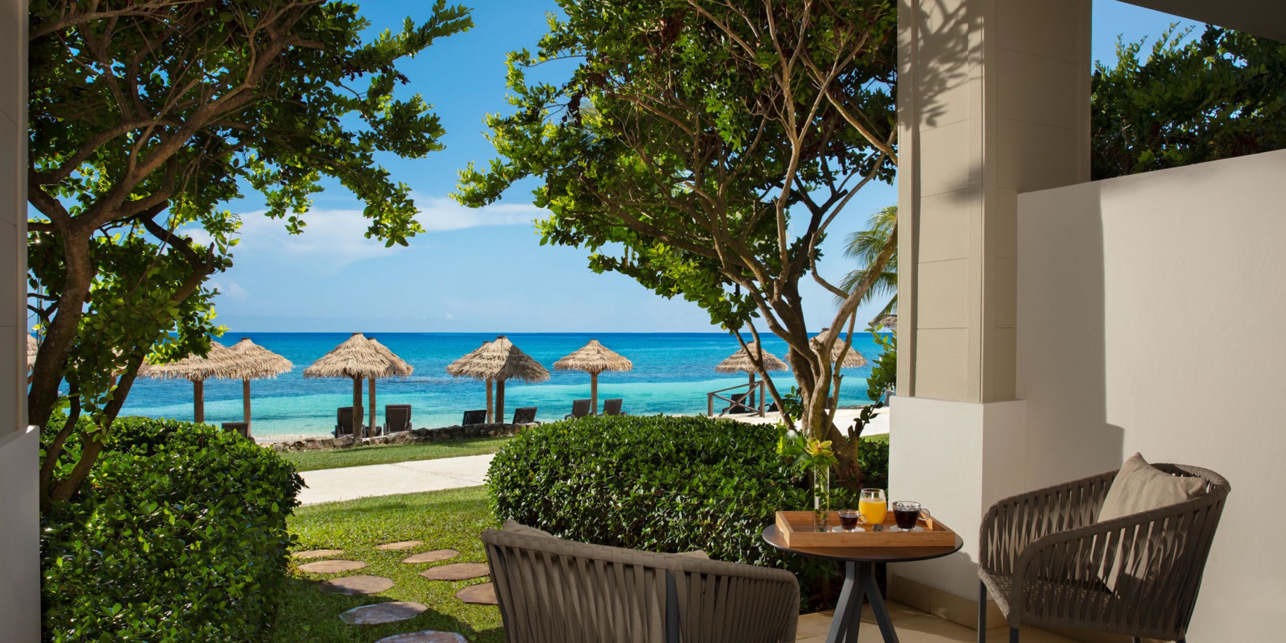 Secrets Wild Orchid