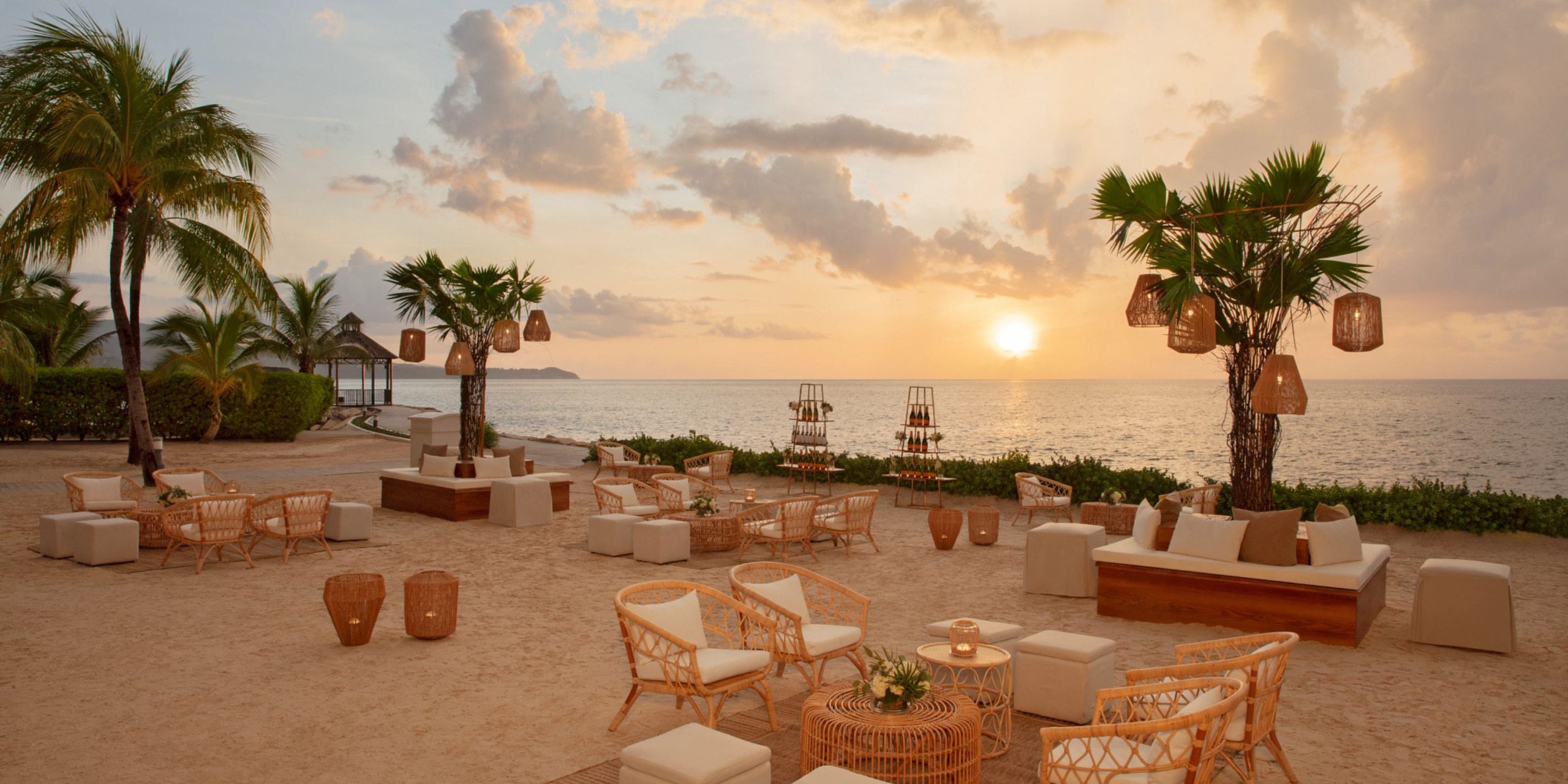 Secrets Wild Orchid