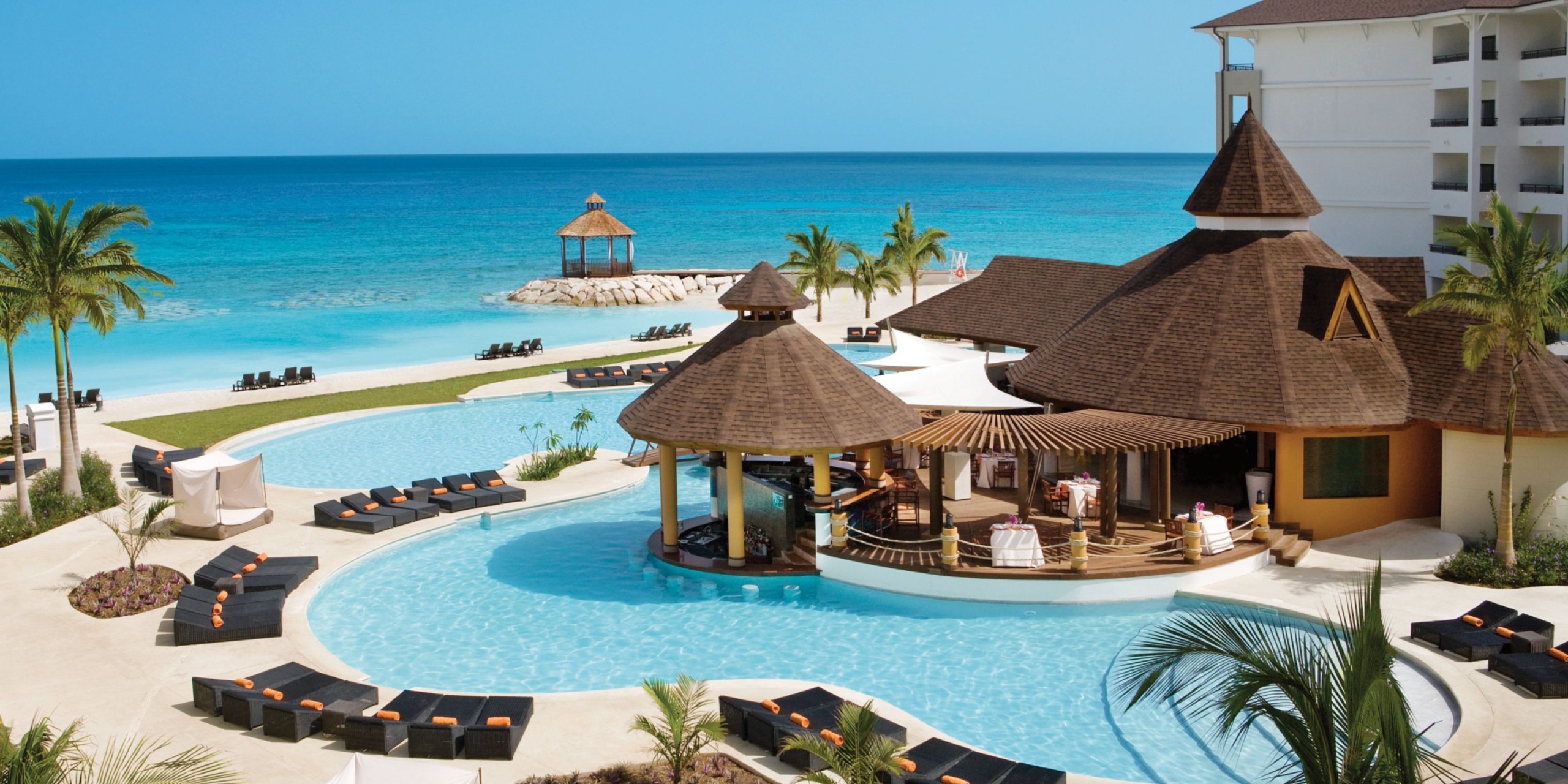 Secrets Wild Orchid