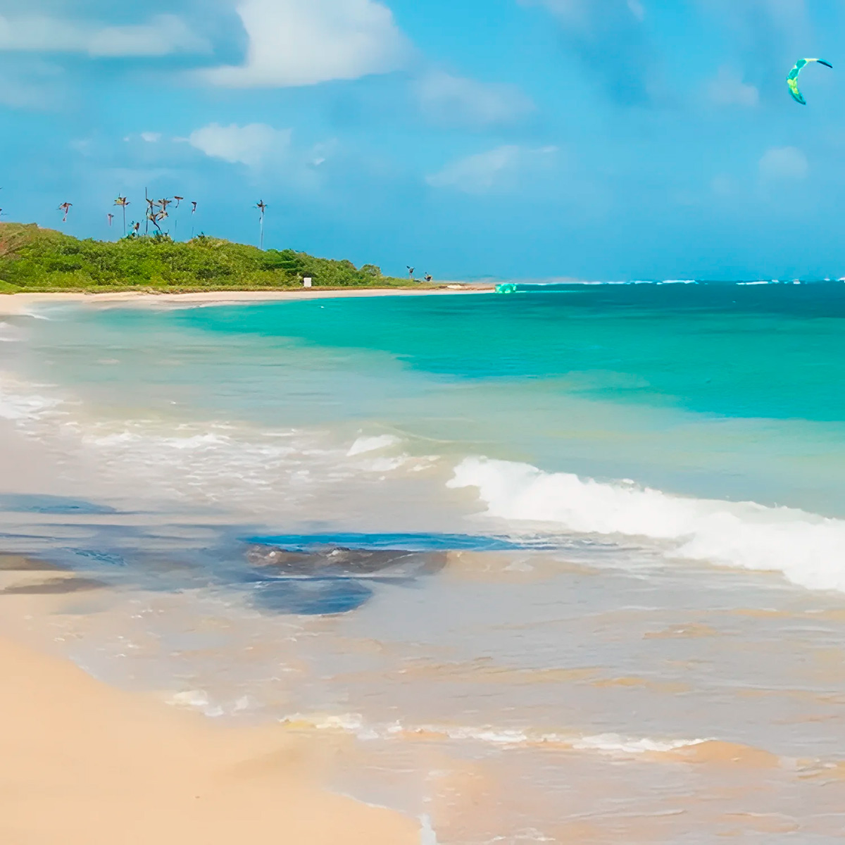A serene beach scene with turquoise water, white sandy shore, and a few palm trees in the background. A kite surfer is visible in the distance under a partly cloudy sky. Coconut Bay Harmony.