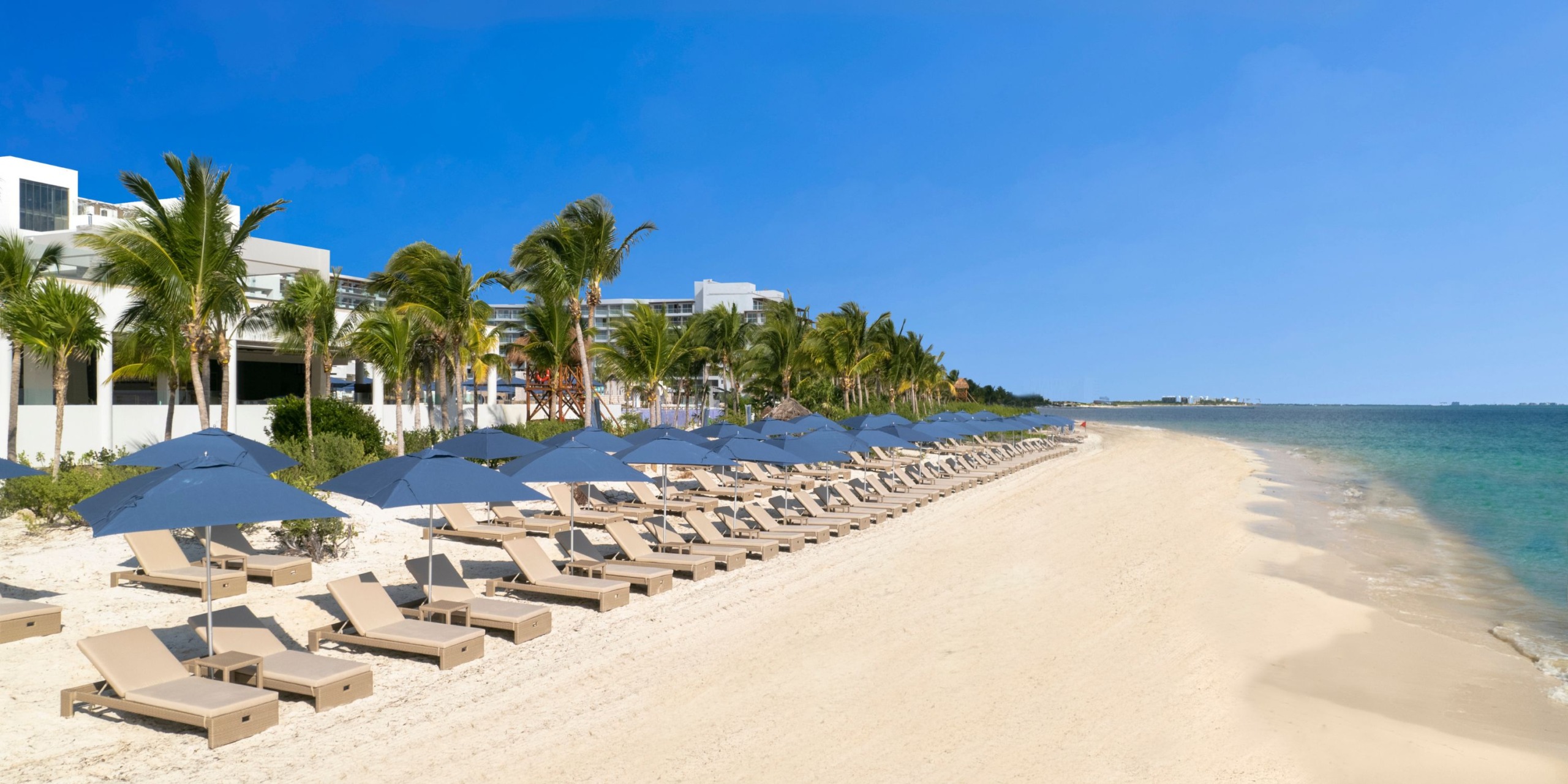 A serene section of Royalton Splash Riviera Cancun features rows of lounge chairs and umbrellas arranged neatly on the sandy beach beside the ocean under a clear blue sky, with palm trees and resort buildings in the background.