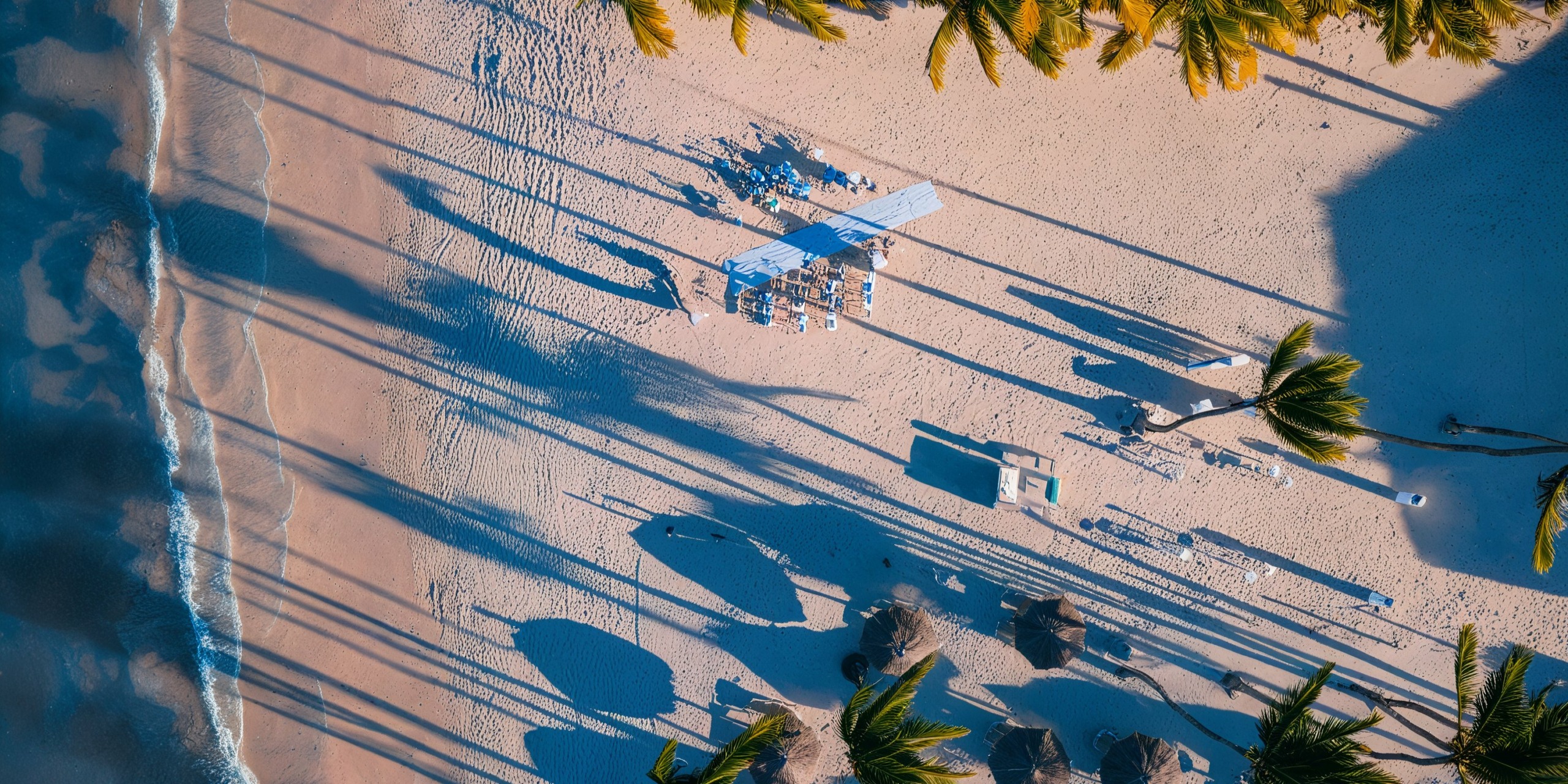 Aerial view of Jewel Palm Beach reveals palm trees casting elongated shadows, with towels, lounge chairs, and a few beachgoers scattered along the shoreline. Gentle waves are visible on the left—the ideal setting for a tranquil wedding backdrop.