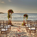 Destination beach wedding setup with floral archways, white chairs, and a petal-scattered aisle leading towards the ocean under a clear sky.