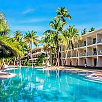 A swimming pool surrounded by palm trees at a resort, perfect for a destination wedding.