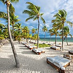 A white sand beach with palm trees, lounge chairs, and a Destify wedding setup.