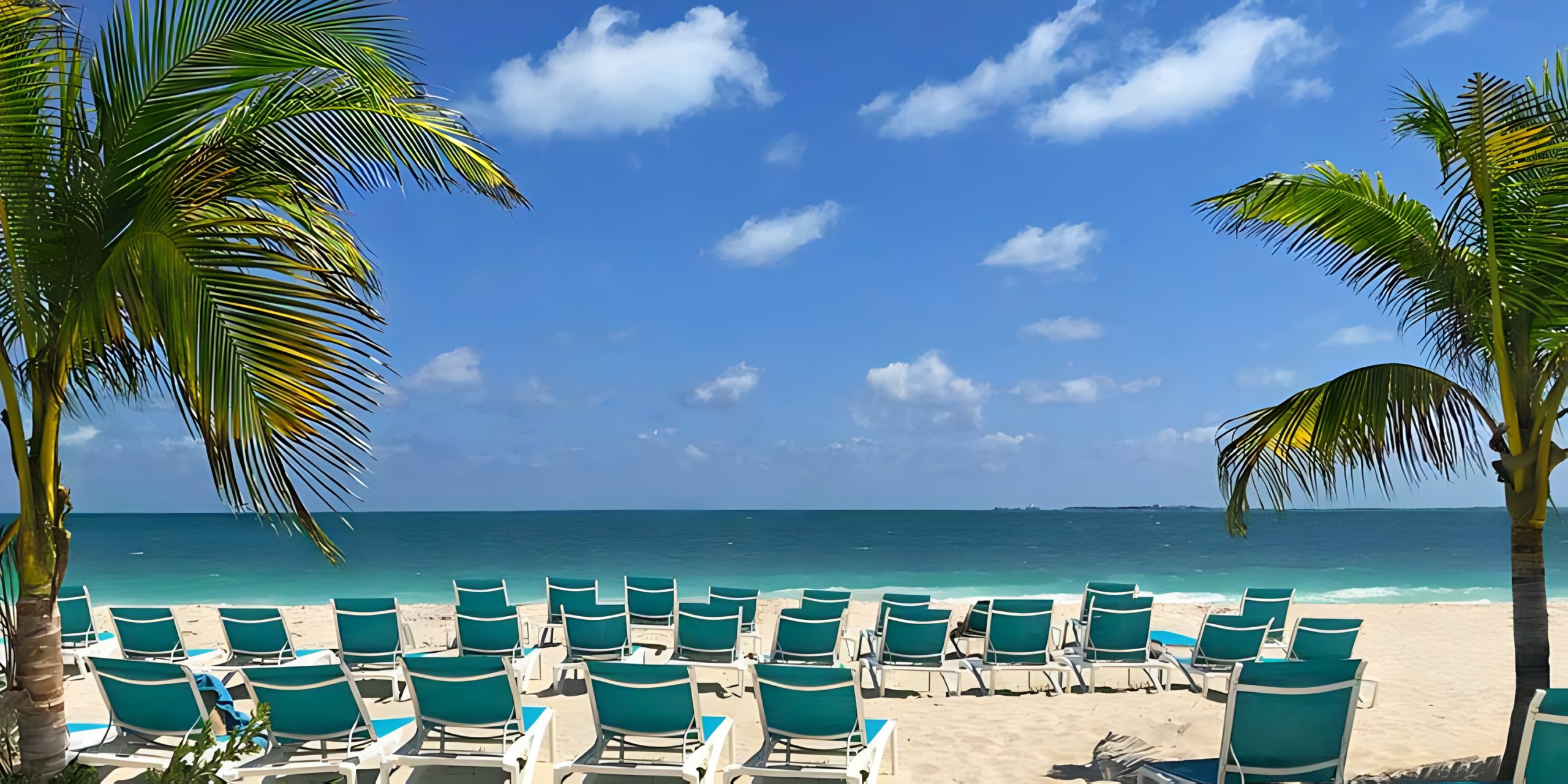 A row of Catalonia Grand Costa Mujeres chairs on the beach with palm trees in the background.