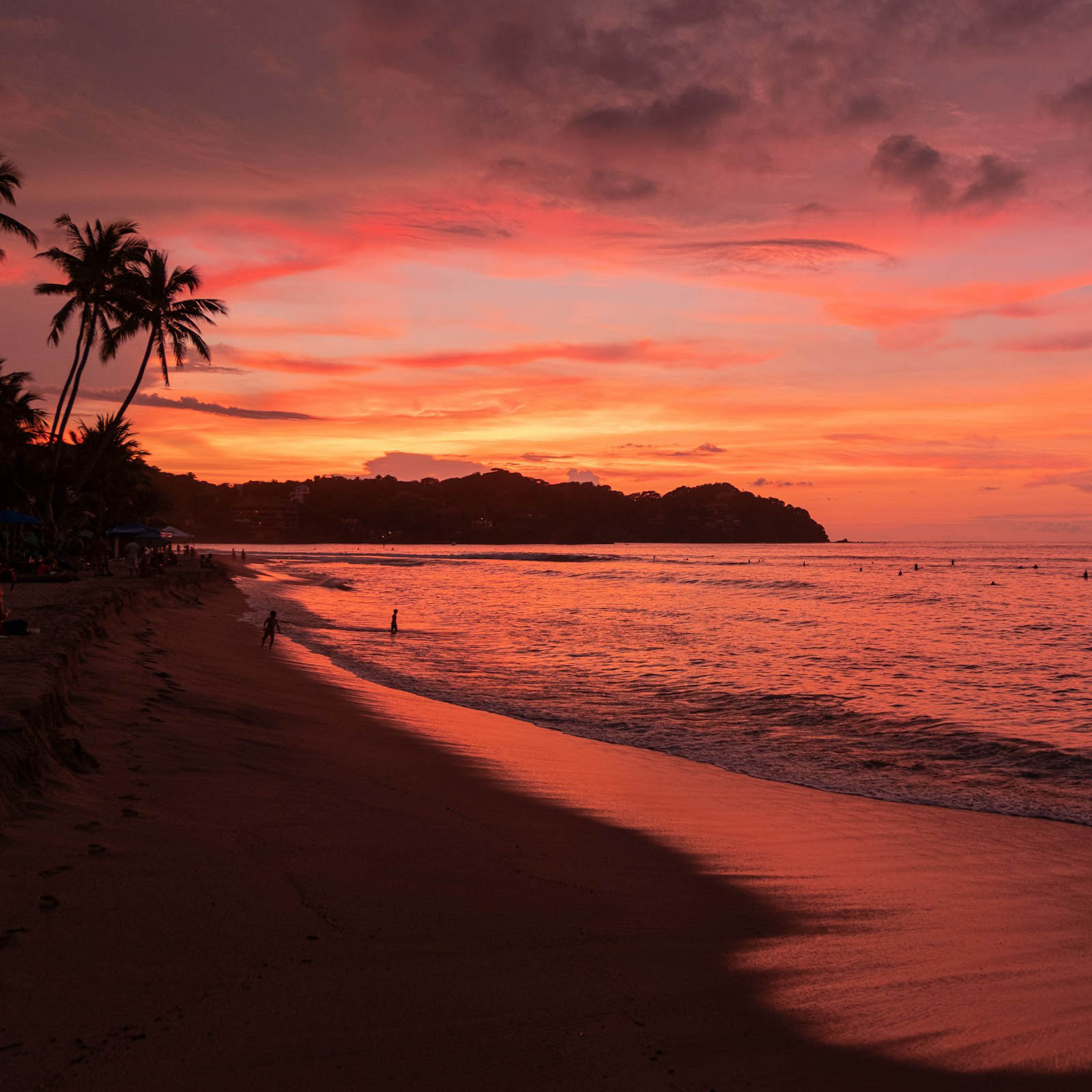 Experience a breathtaking sunset on a beach lined with palm trees perfect for wedding packages in Mexico.