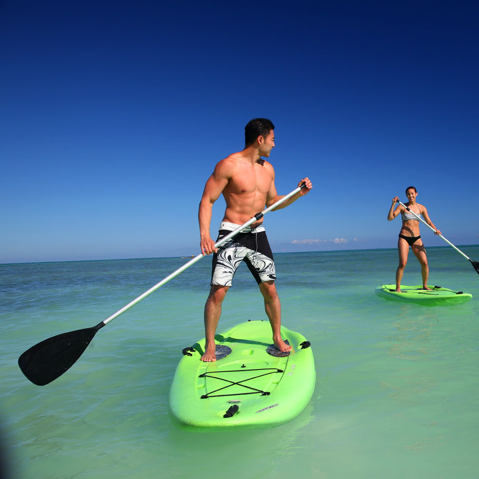 A man and a woman enjoy paddle boarding in the ocean.