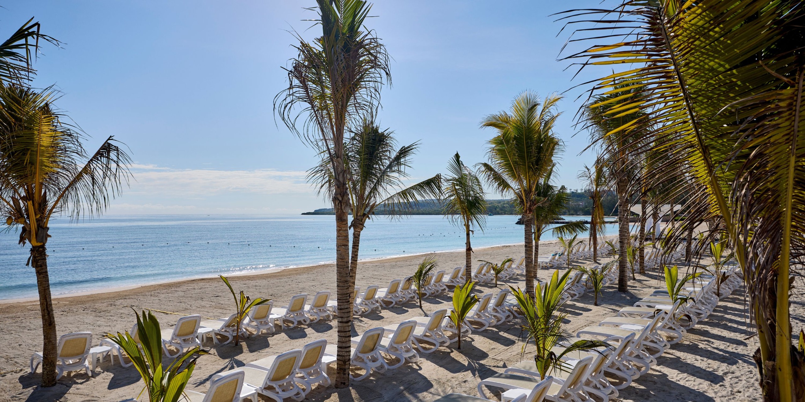 The Hotel RIU Palace Aquarelle offers a picturesque setting featuring a sunny beach scene with rows of empty lounge chairs and palm trees, all overlooking a calm ocean beneath a clear blue sky.