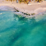 Aerial view of a beachfront with turquoise water on the left and a sandy shore with palm trees and beachgoers on the right.