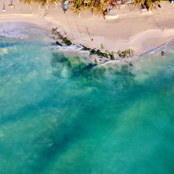 Top 5 Tropical Destination Wedding Locations You’ll Love