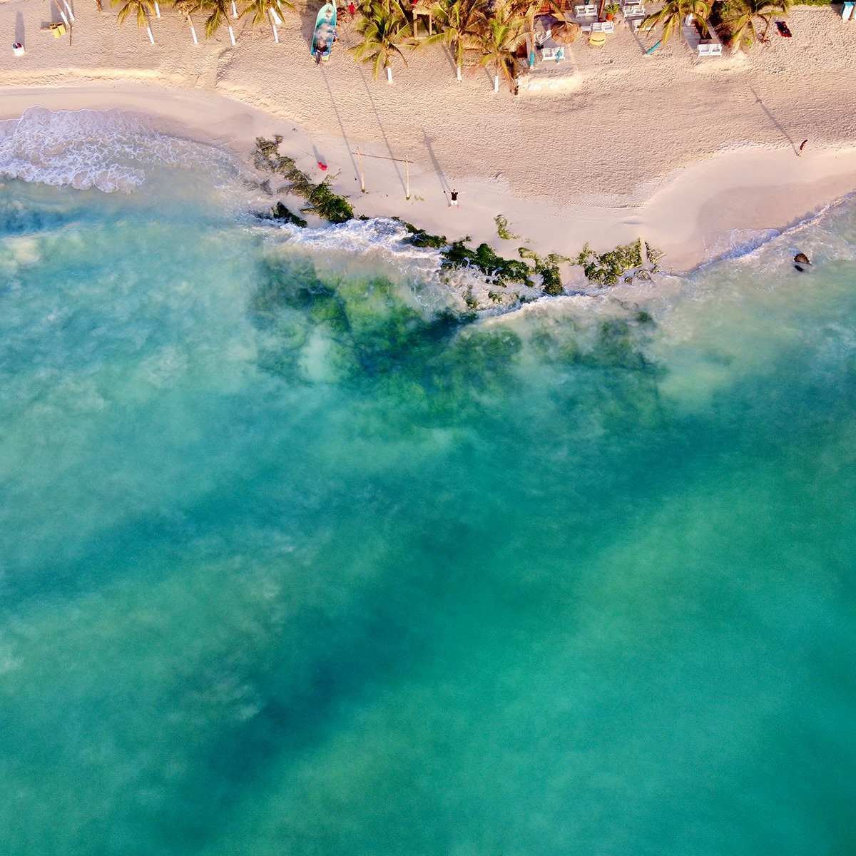 Aerial view of a beachfront with turquoise water on the left and a sandy shore with palm trees and beachgoers on the right.