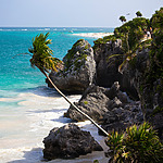 A scenic view of a rocky coastline with turquoise waters, a sandy beach, and palm trees. People are visible on a cliffside path. Birds are flying overhead.