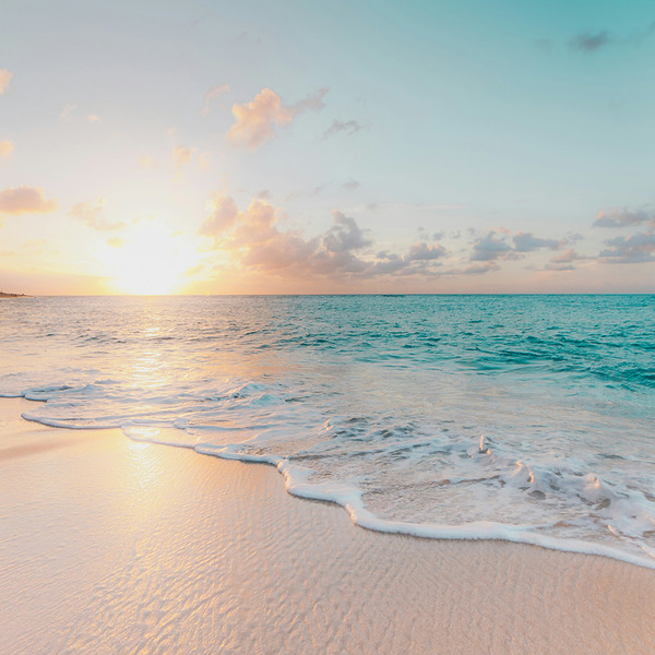 These Are The Best Beautiful Free Places to Get Married