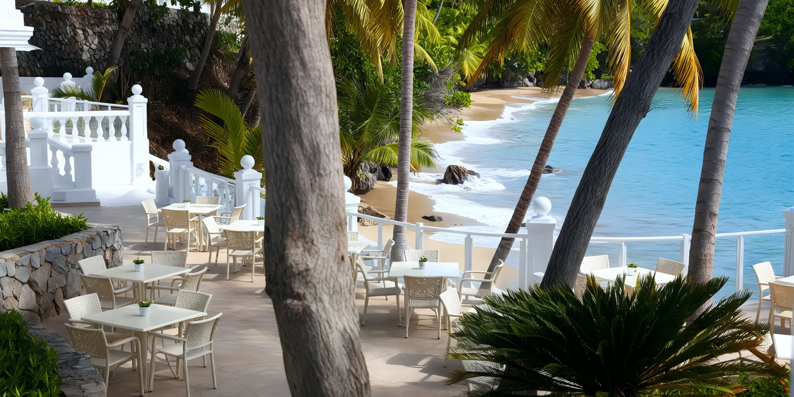 The Bahia Principe Grand Samana features a seaside patio adorned with white tables and chairs, surrounded by palm trees, offering stunning views of a sandy beach and turquoise ocean.