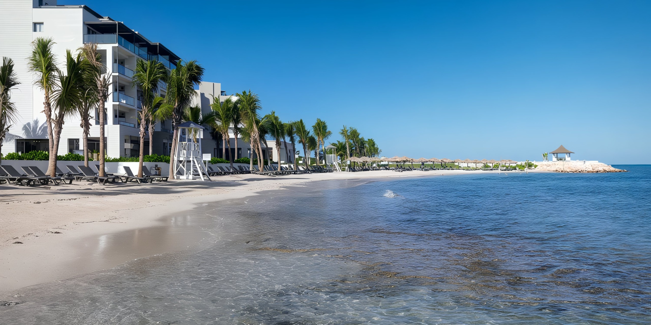 Ocean Eden Bay features a picturesque sandy beach adorned with palm trees and lounge chairs, set against a backdrop of modern buildings. The serene blue ocean waves whisper gently along the shoreline beneath a clear blue sky.
