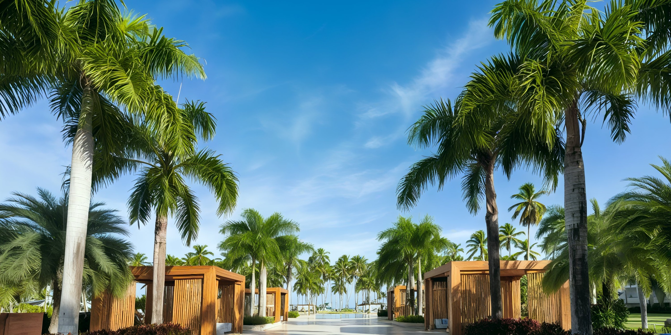 A pathway lined with palm trees and wooden cabanas under a clear blue sky at Viva V Samana by Wyndham.