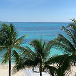 Palm trees on a sandy beach with clear turquoise ocean and a blue sky in the background.