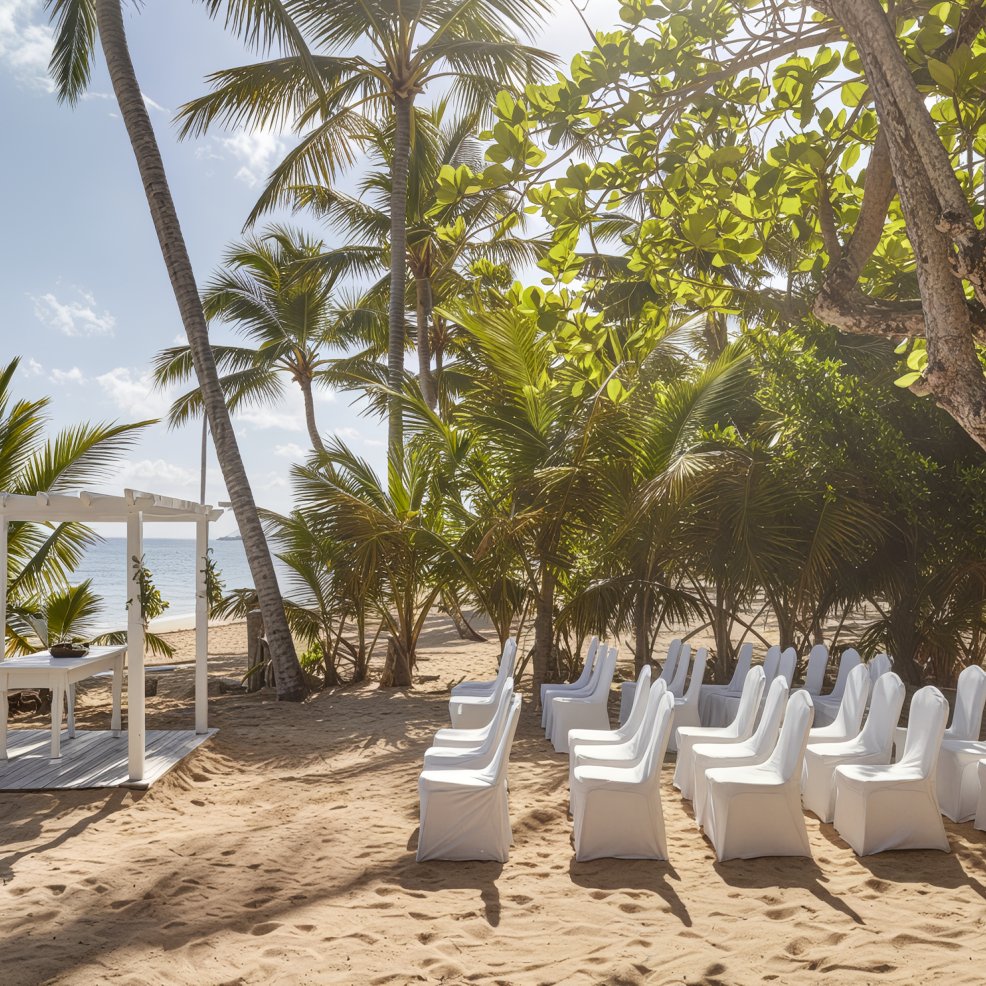 A picturesque destination wedding setup featuring white chairs arranged under a charming arch nestled among swaying palm trees.