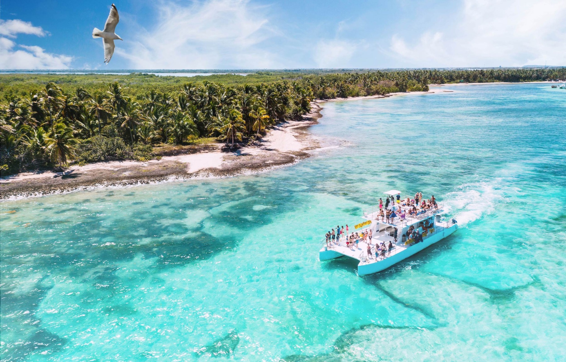 A catamaran carrying tourists glides near a tropical island, making it an ideal spot for a destination wedding, as a seagull gracefully soars overhead.