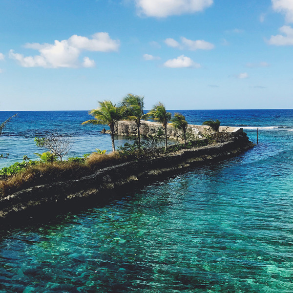 Idyllic destination wedding scene with turquoise water, rocky path, palm trees, and a blue sky.