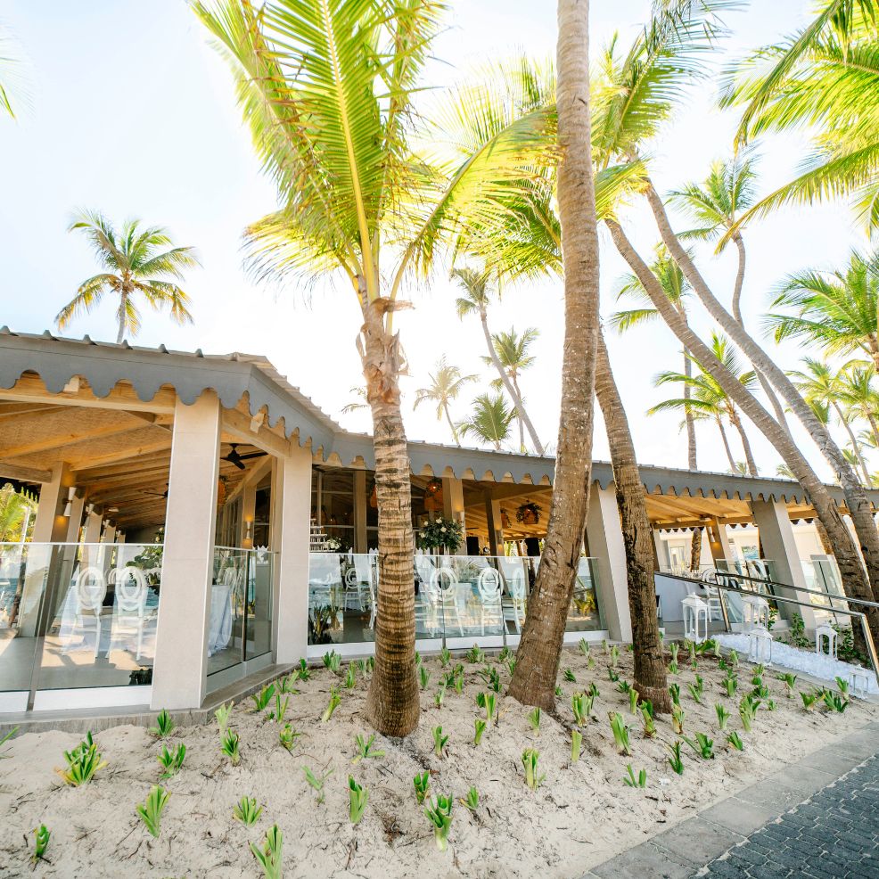 Beachside restaurant perfect for a destination wedding, with palm trees and glass-walled outdoor seating.