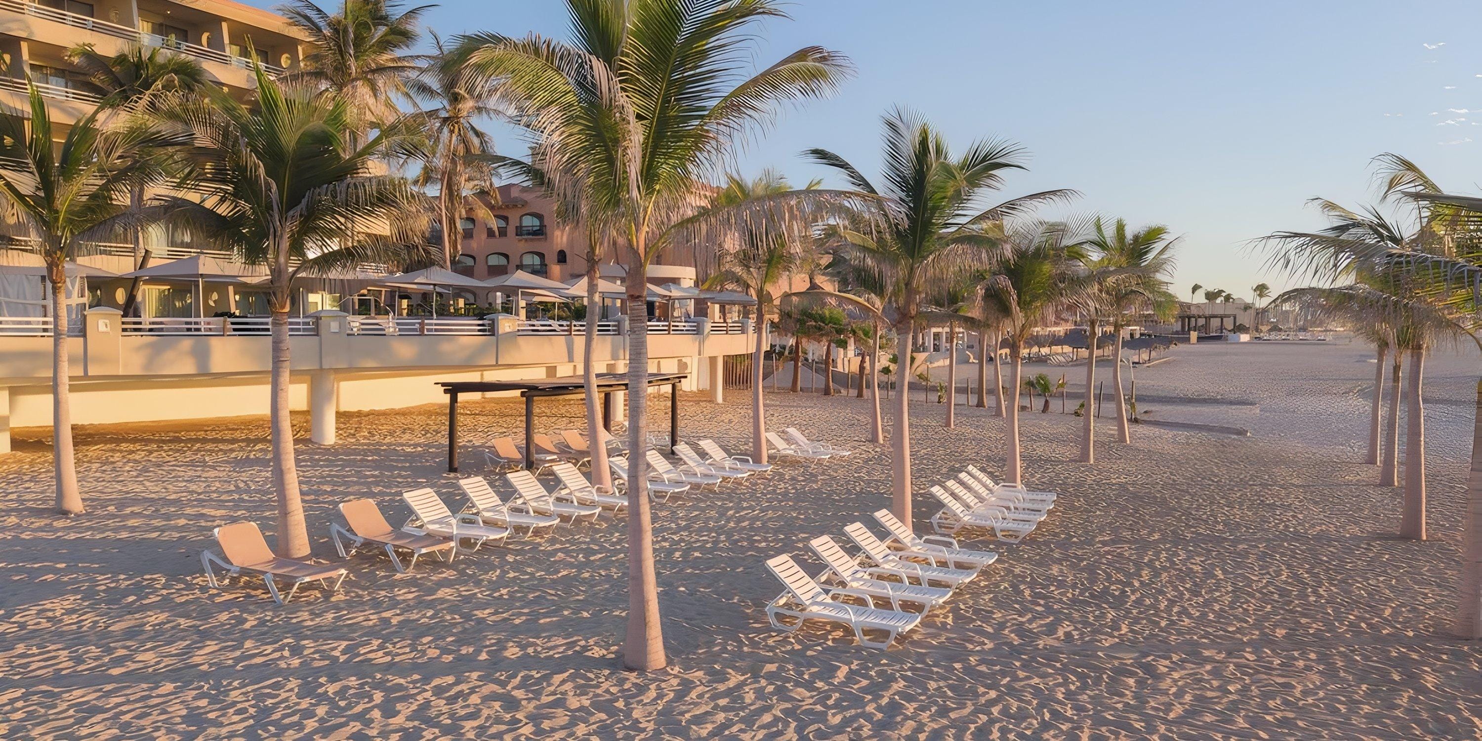 Empty lounge chairs and palm trees on the beach, a serene spot for a destination wedding at Barceló Grand Faro Los Cabos resort.